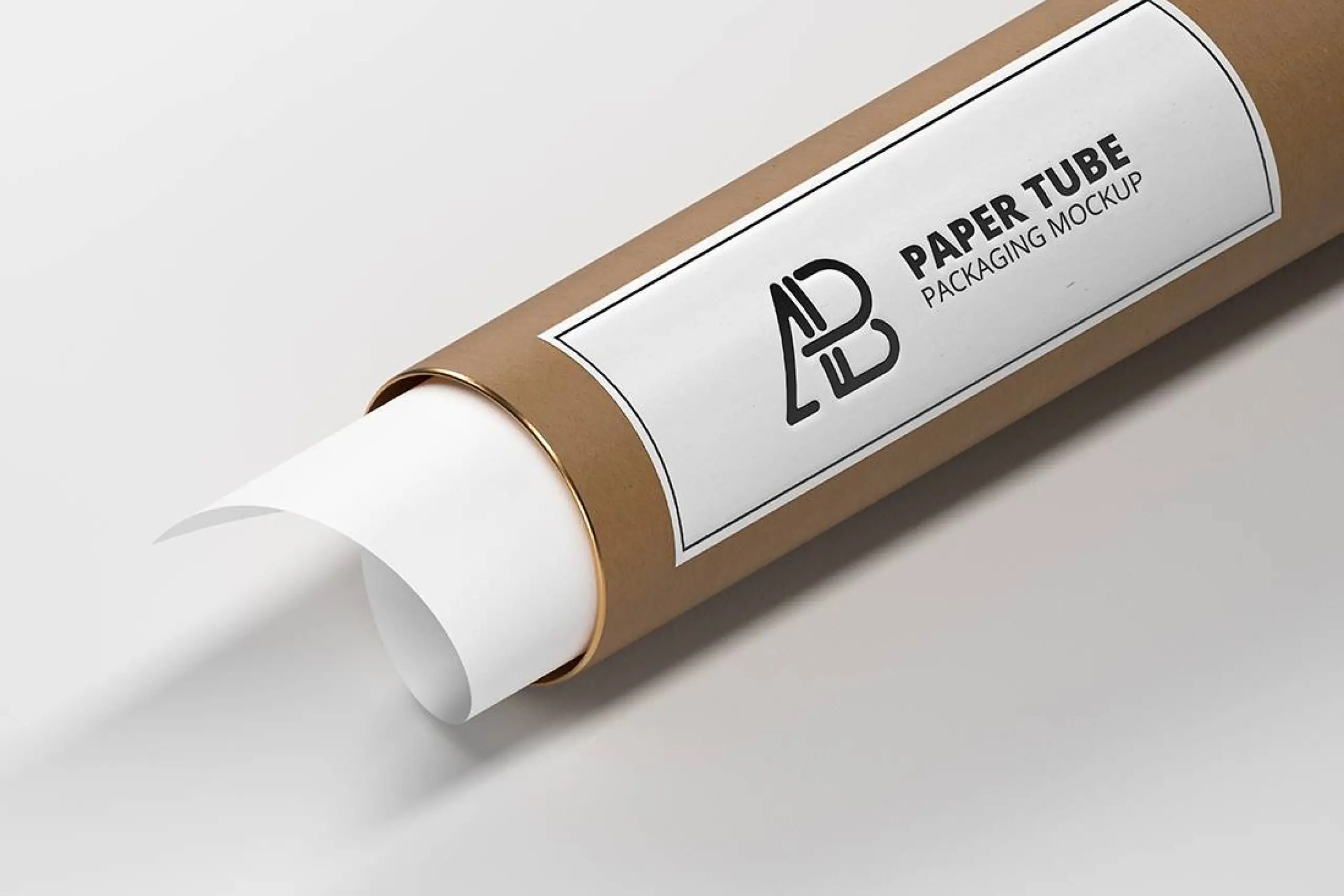 Mockup di imballaggio con tubo di carta -
