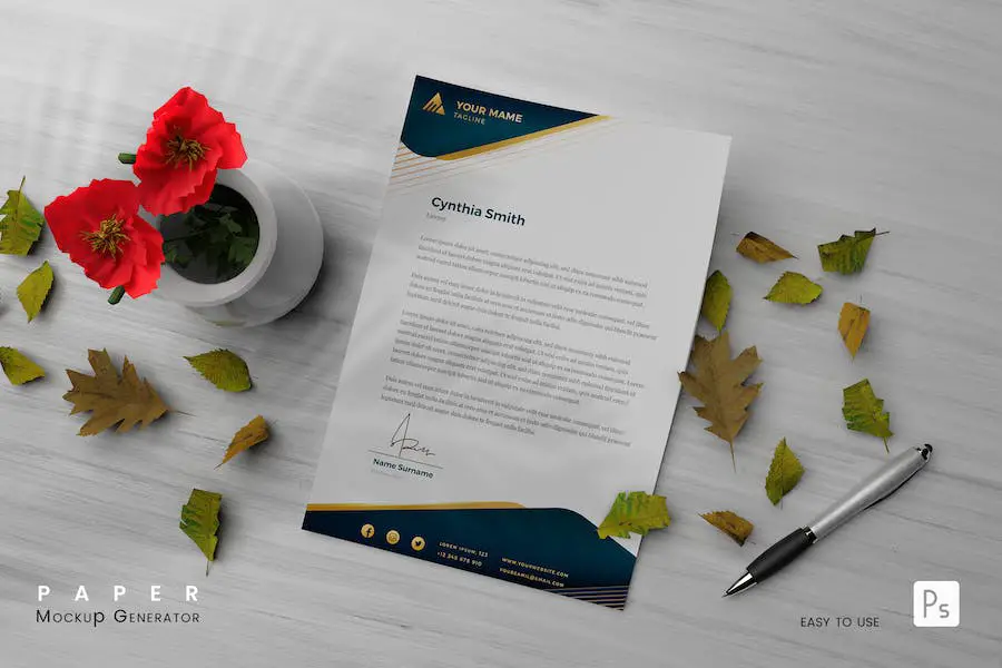 Modello di carta -