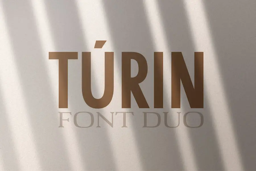 Torino -
