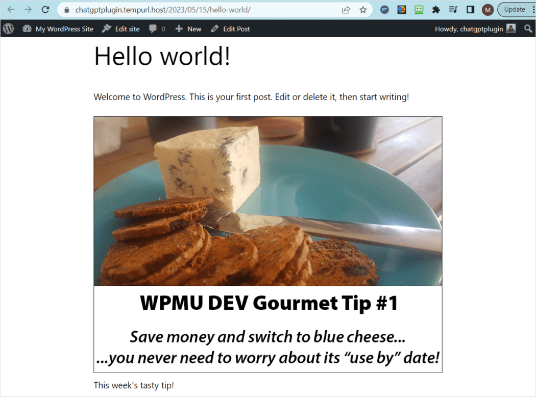 WordPressのテスト投稿。