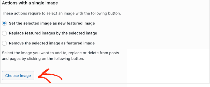WordPress のアイキャッチ画像の一括編集アクションの選択 Choosing a bulk edit action for your WordPress featured images
