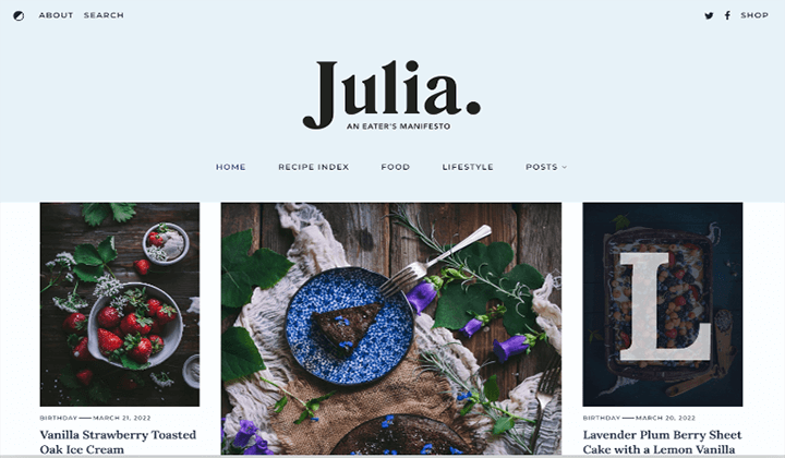 9+ Tema Blok WordPress Premium Terbaik di 2023 untuk Pengeditan Situs Penuh 9 julia 251