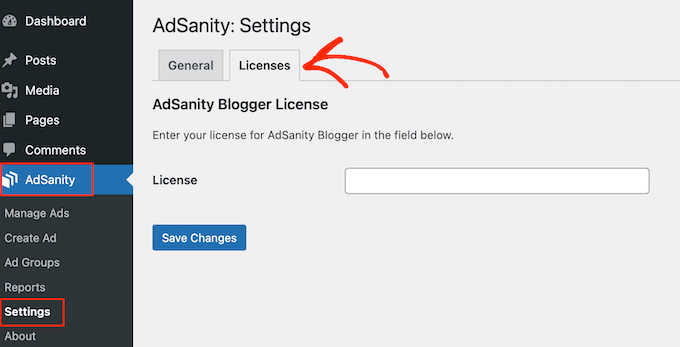 AdSanity WordPress 플러그인 설정 The AdSanity WordPress plugin settings