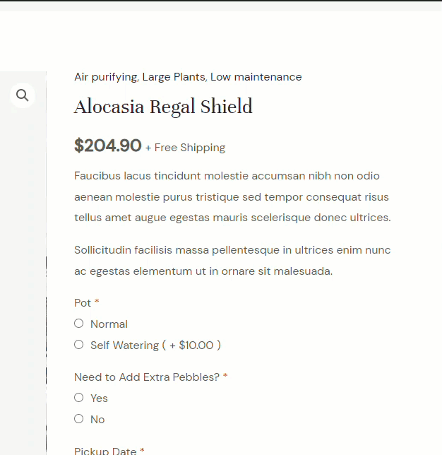 完成的條件邏輯選項 - woocommerce 產品插件條件邏輯