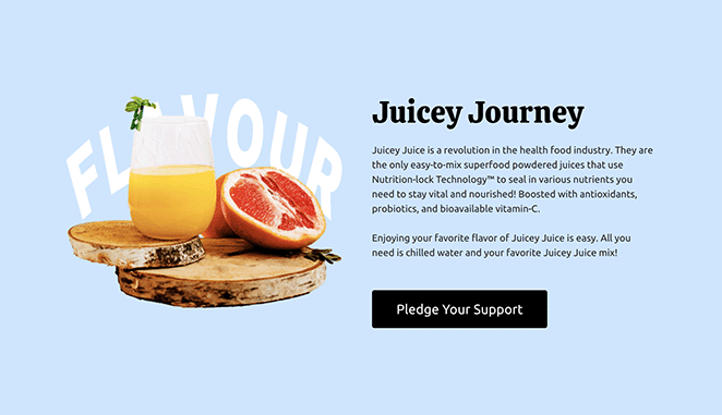 キックスターターランディングページ説明 SeedProd Kickstarter landing page project description