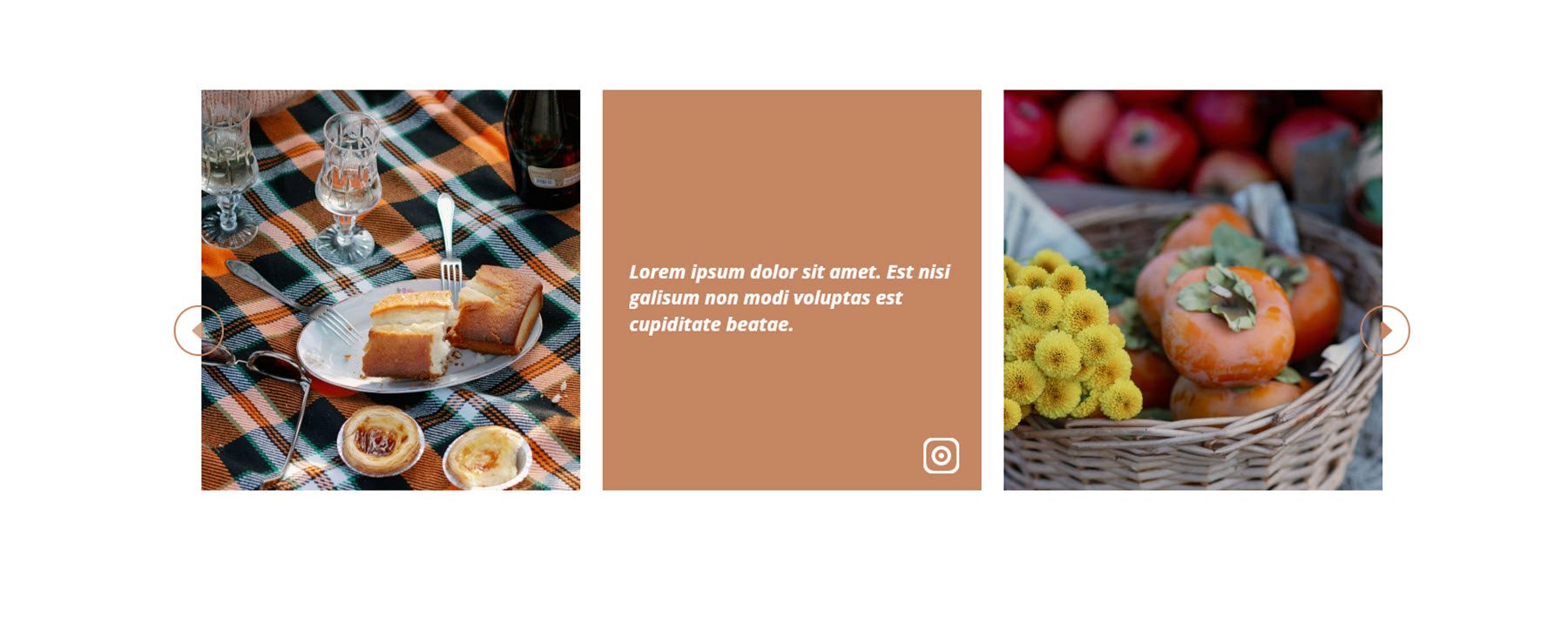 Divi Social Plus Instagram 캐러셀