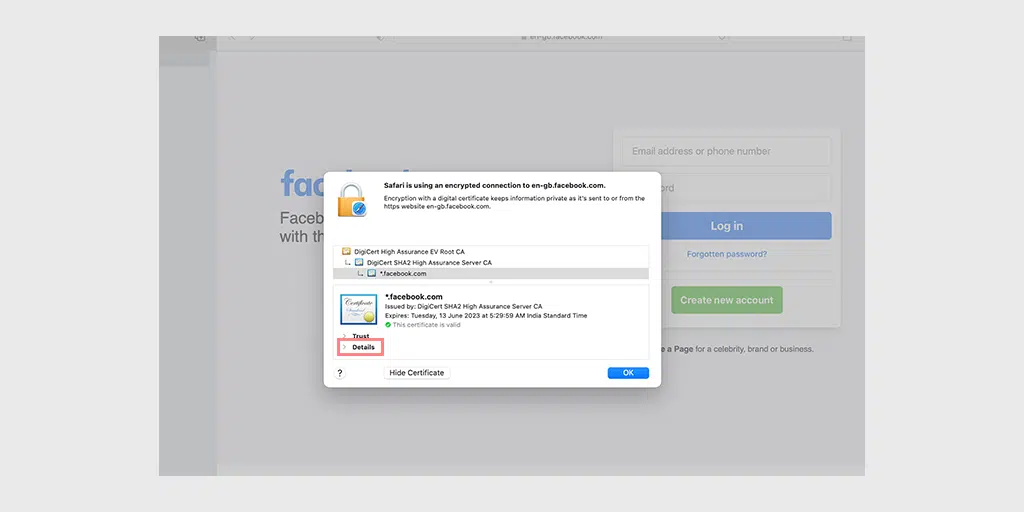 วิธีแก้ไข Safari ไม่สามารถสร้างข้อผิดพลาดในการเชื่อมต่อที่ปลอดภัยได้ 11 View Certificate of a website on Safari