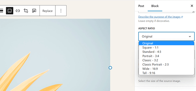 画像のアスペクト比 Image aspect ratio