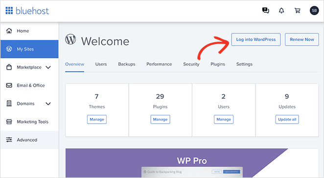 painel-bluehost - SeedProd Bluehost dashboard WordPress login