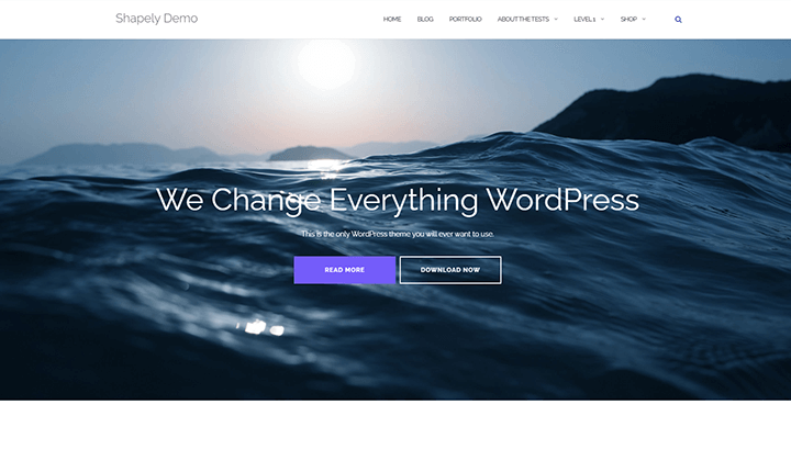 16 นักออกแบบตกแต่งภายในและสถาปนิก WordPress ธีมและเทมเพลตที่ดีที่สุด 2023 14 shapely theme 1