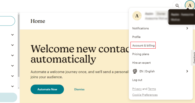 Cliquez sur votre avatar Mailchimp Click your Mailchimp avatar