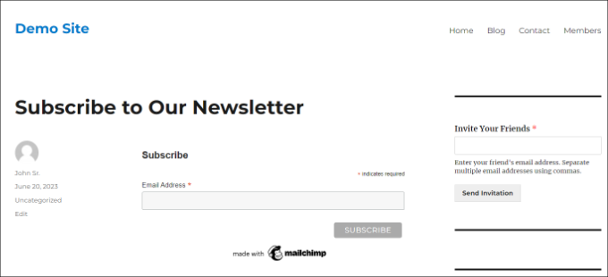 Aperçu du formulaire d'abonnement Mailchimp Mailchimp subscribe form preview