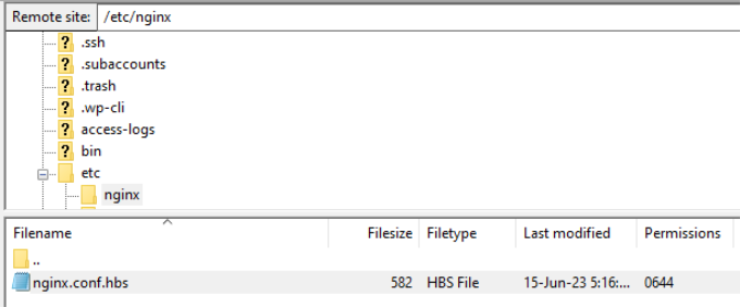 Accéder au fichier Nginx Access Nginx file
