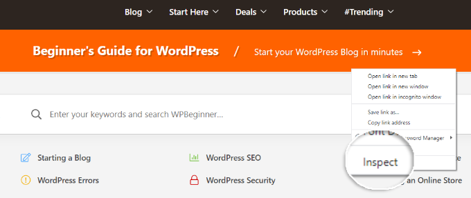 Ouvrir l'élément d'inspection Open inspect element