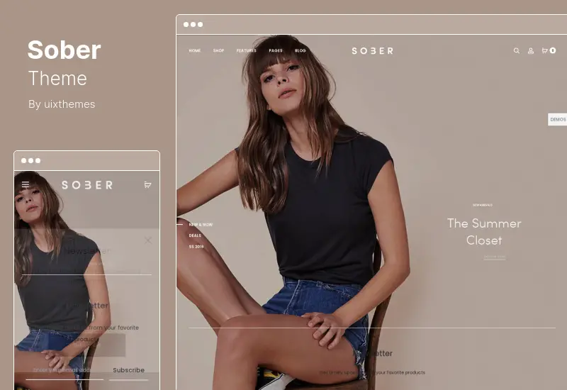 Sober Theme – WooCommerce WordPress Theme