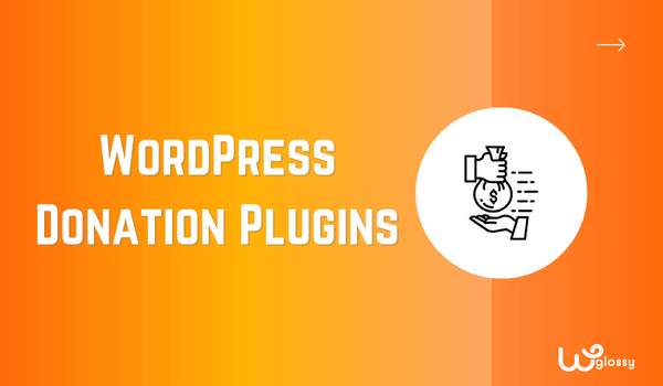 Wtyczki-darowizny-wordpress
