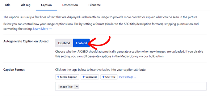 啟用字幕切換並配置其智能標籤 Enable Captions toggle and configure its smart tags