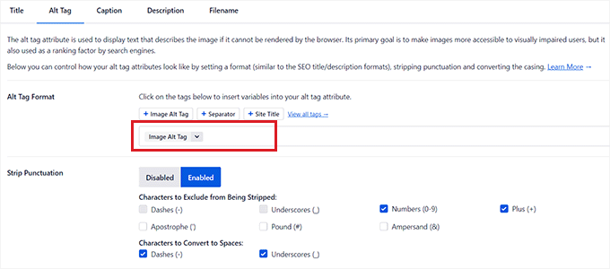 Alt 標籤的 SEO 設置 SEO settings for alt tags