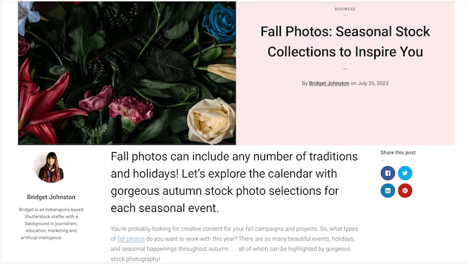 ストックフォト Web サイトのブログ投稿の例 An example of a blog post, on a stock photography website