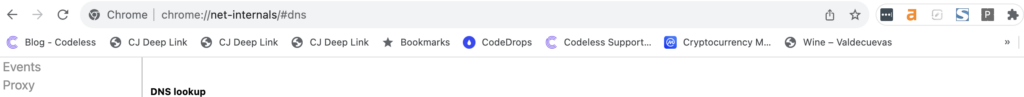 accedi a chrome://net-internals/#dns