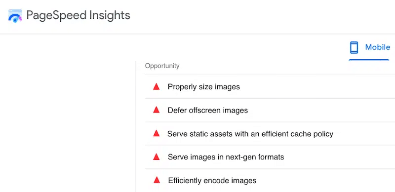Lighthouse レポートで報告された画像関連の問題 - 出典: PageSpeed Insights