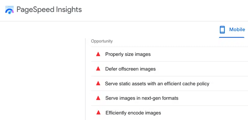 Problemi relativi alle immagini segnalati dal rapporto Lighthouse - Fonte: PageSpeed Insights