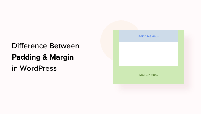 WordPressのパディングとマージンの違い Difference between padding and margin in WordPress