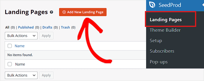Yeni Açılış Sayfası Ekle düğmesini tıklayın Click the Add New Landing Page button