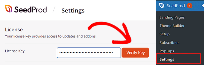 Lisans anahtarını alana yapıştırın Paste license key in the field