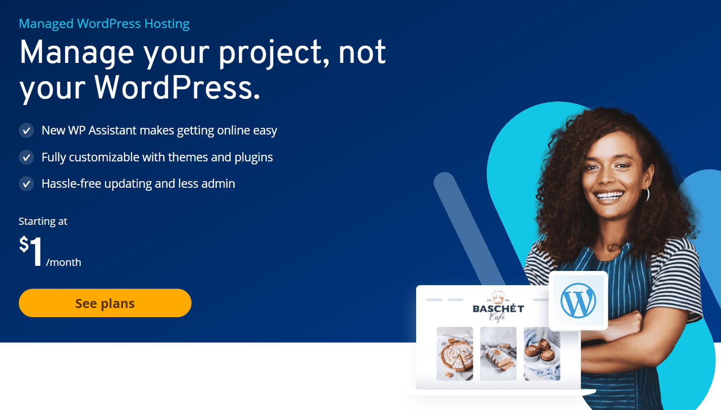IONOS 是市場上最便宜的 WordPress 託管網絡主機之一。