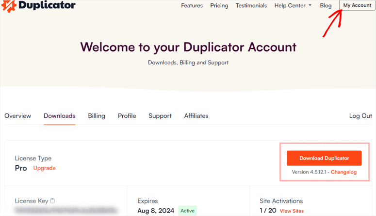chiave-licenza-attivazione-duplicatore - IsItWP - Rilevatore di temi WordPress gratuito duplicator activation license