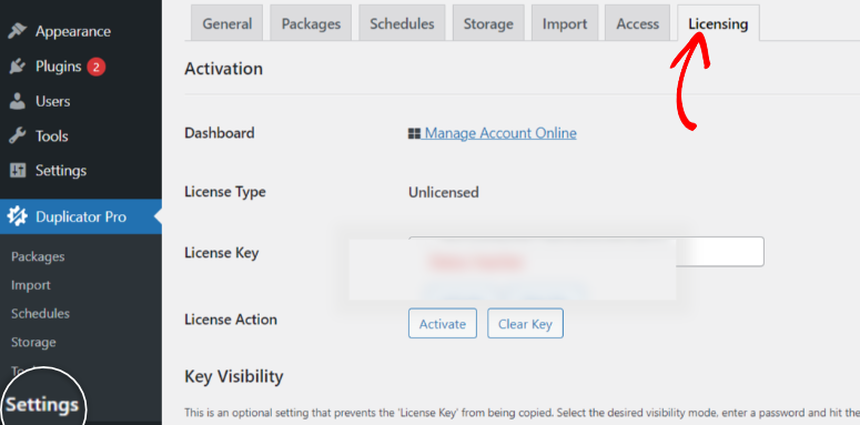 attivazione duplicatore - IsItWP - Rilevatore di temi WordPress gratuito duplicator activation