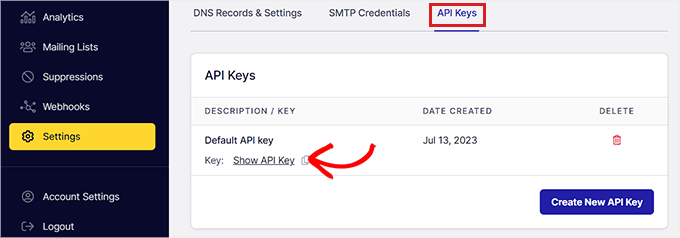 Copie a chave da API SendLayer Copy the SendLayer API key