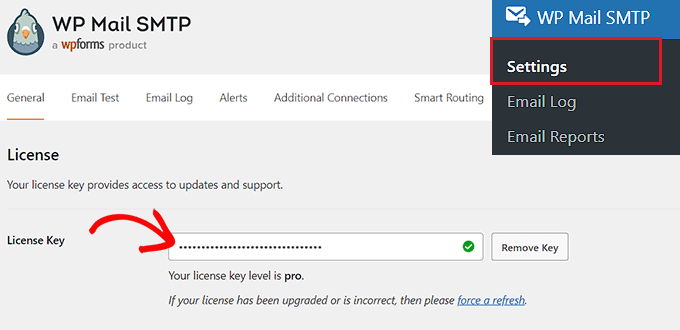 Digite sua chave de licença WP Mail SMTP no campo Type your WP Mail SMTP license key into the field