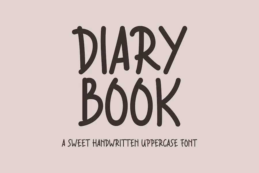 Buku Diary -