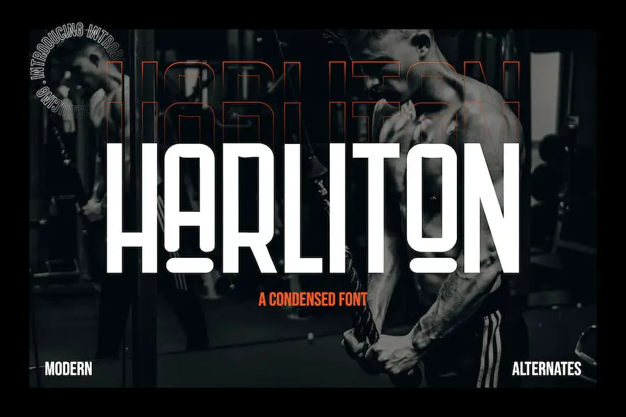 Harliton-
