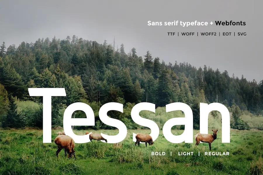 tessan -