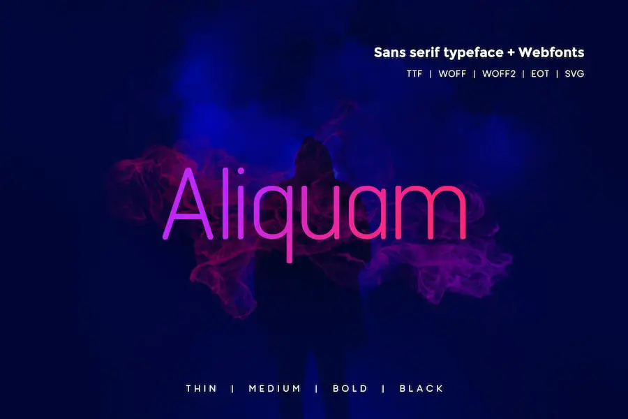 Aliquam -