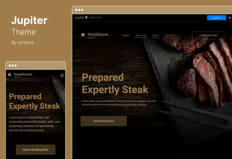 JupiterX Theme - Elementor Çok Amaçlı WordPress Teması