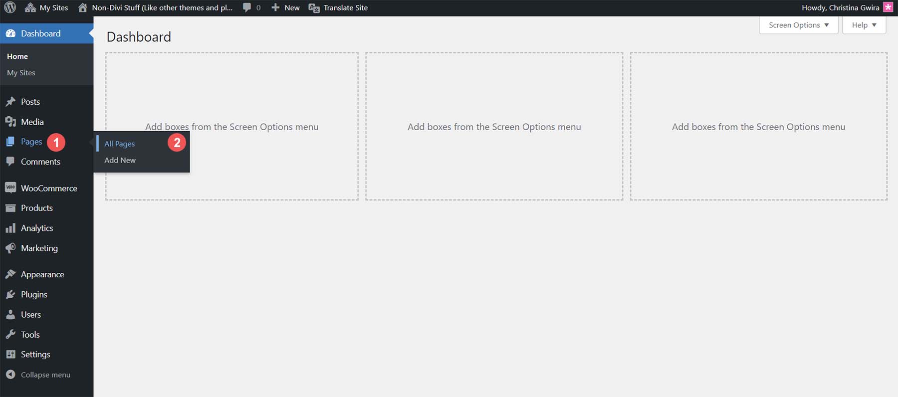 查看您的 WordPress 网站上的所有页面