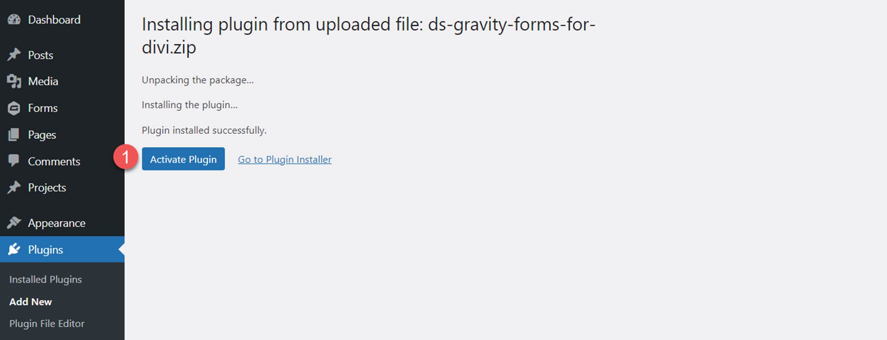 Aktifkan Modul Gravity Forms Styler untuk Divi