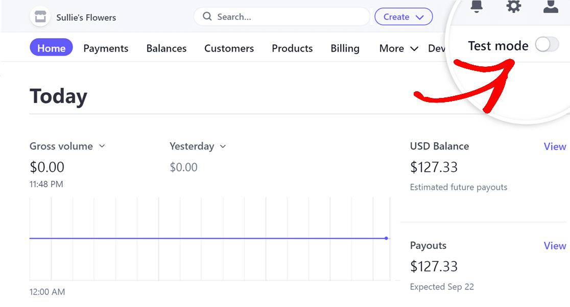 Stripe dashboard test mode