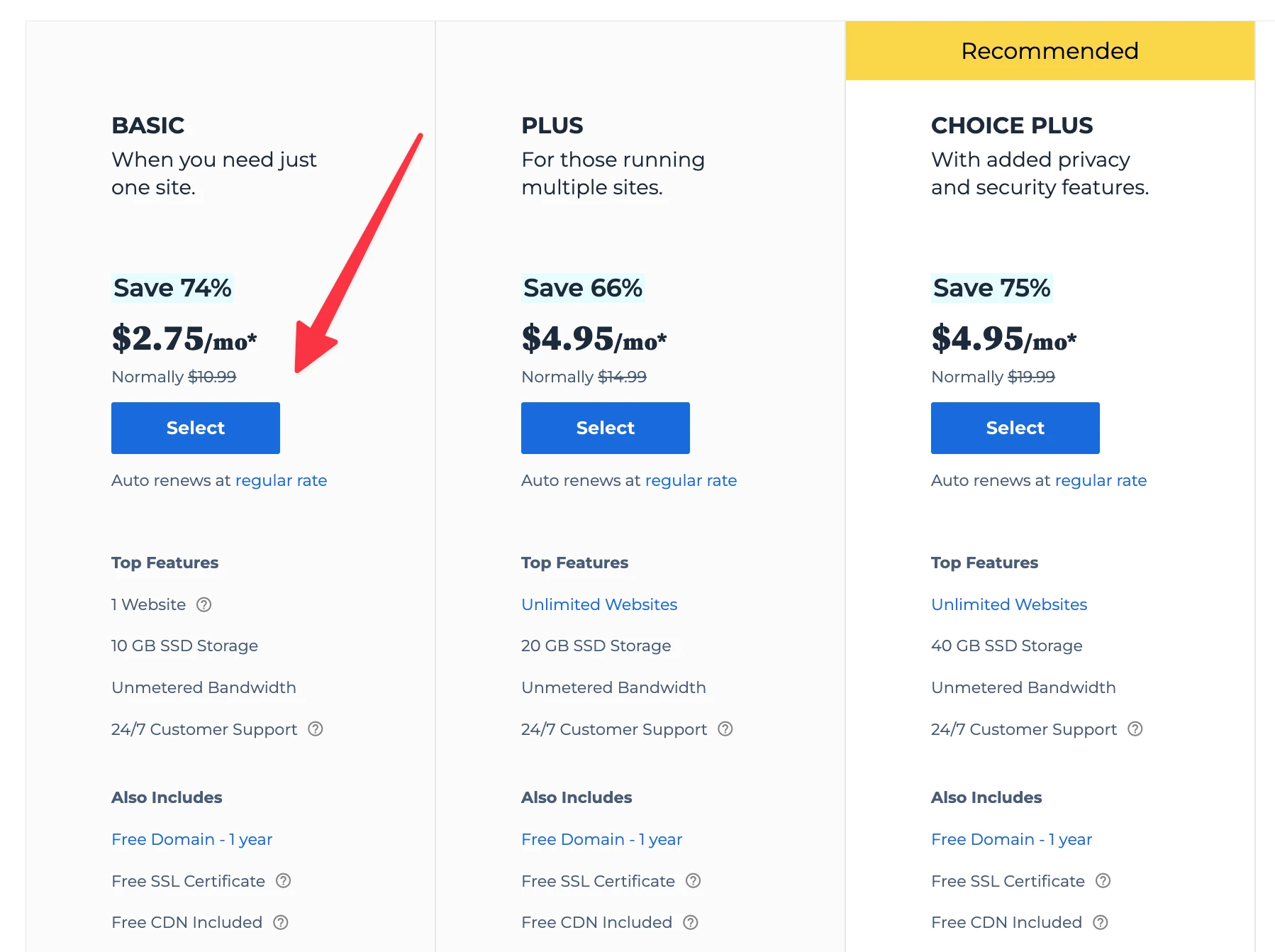 Bluehost 기본 계획.
