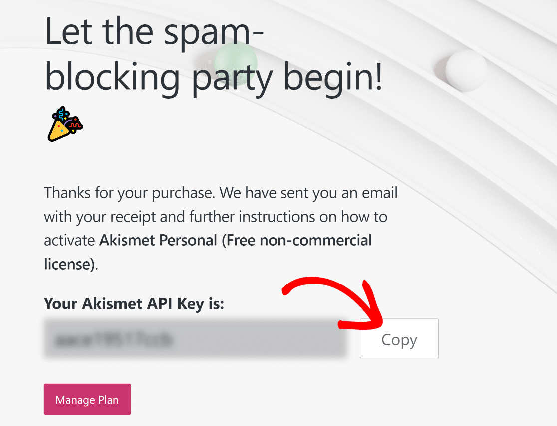 Copy Akismet API key
