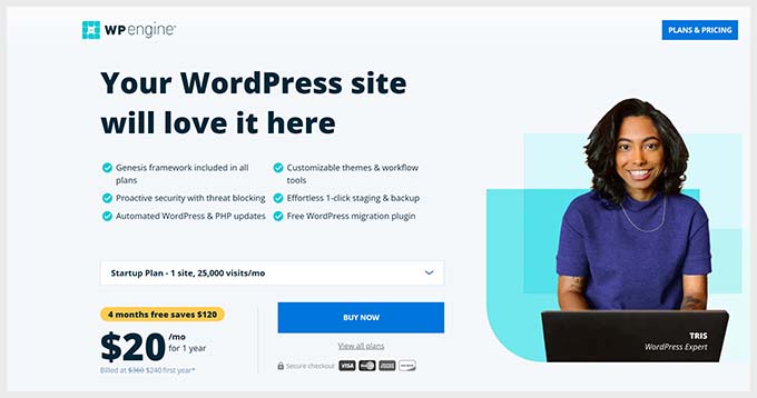 Site-ul web WP Engine WP Engine website