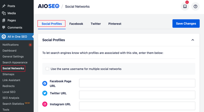 Pengaturan Profil Sosial AIOSEO AIOSEO's Social Profile Settings