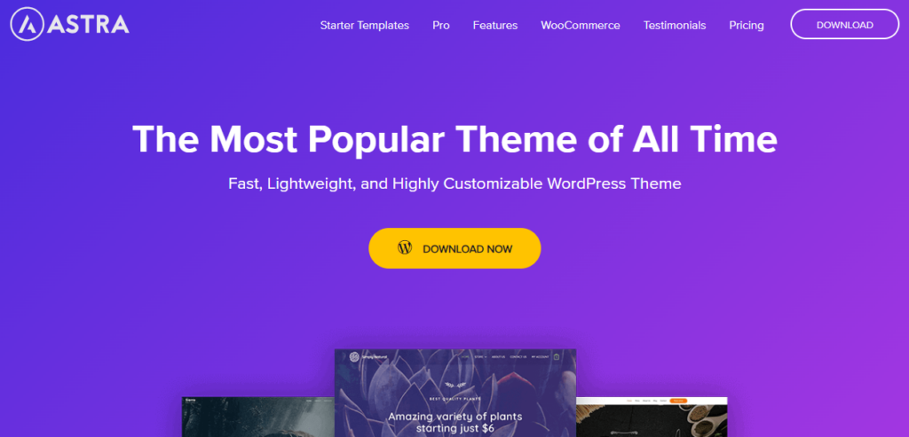 Astra – responsive WordPress-Themes