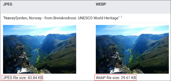 jpeg 形式と webp 形式 JPEG vs WebP format