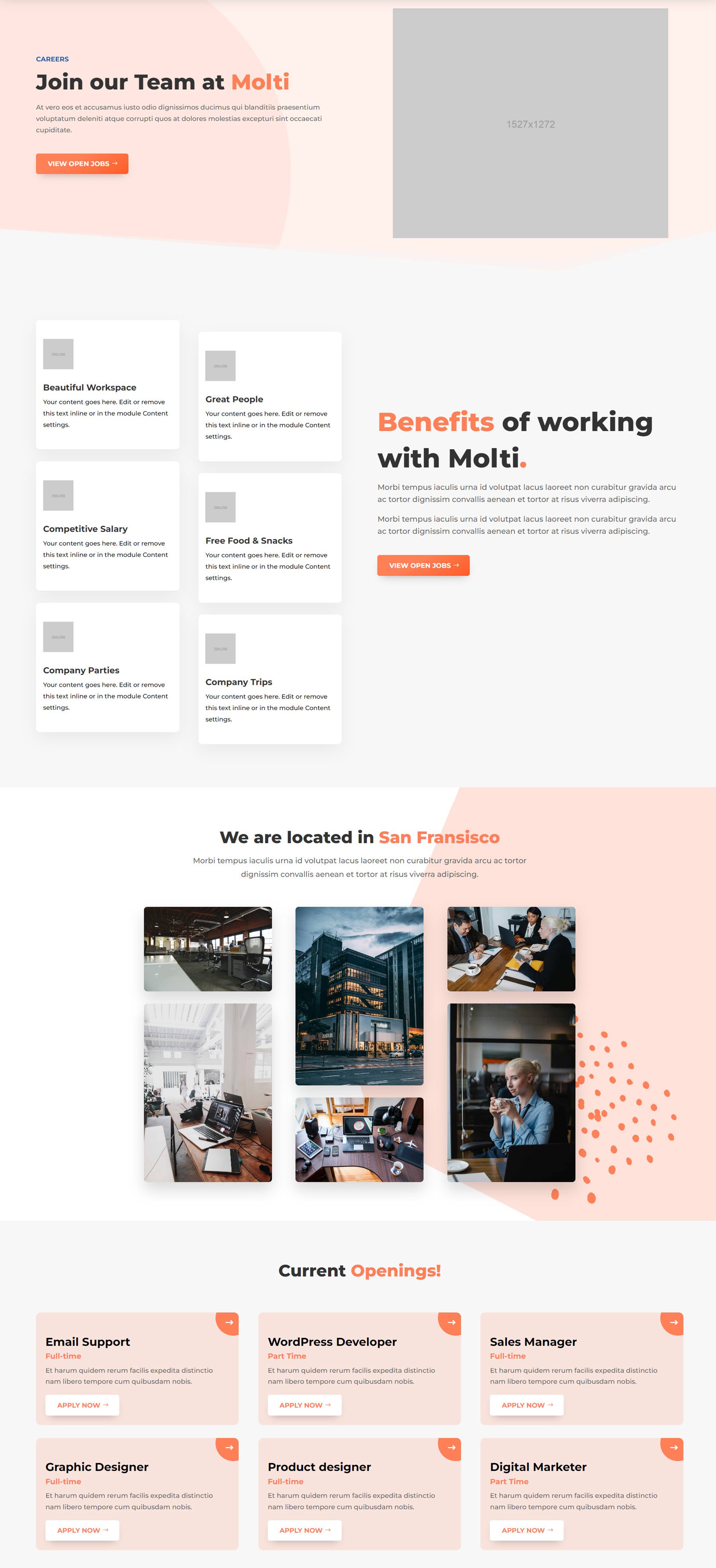 Molte carriere nell'e-commerce
