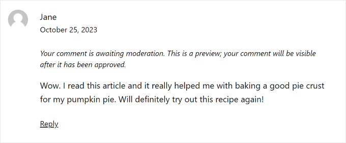 Jak wygląda komentarz oczekujący na moderację na stronie WordPress What a comment awaiting moderation looks like on a WordPress website